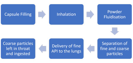 Capsule Filling Process